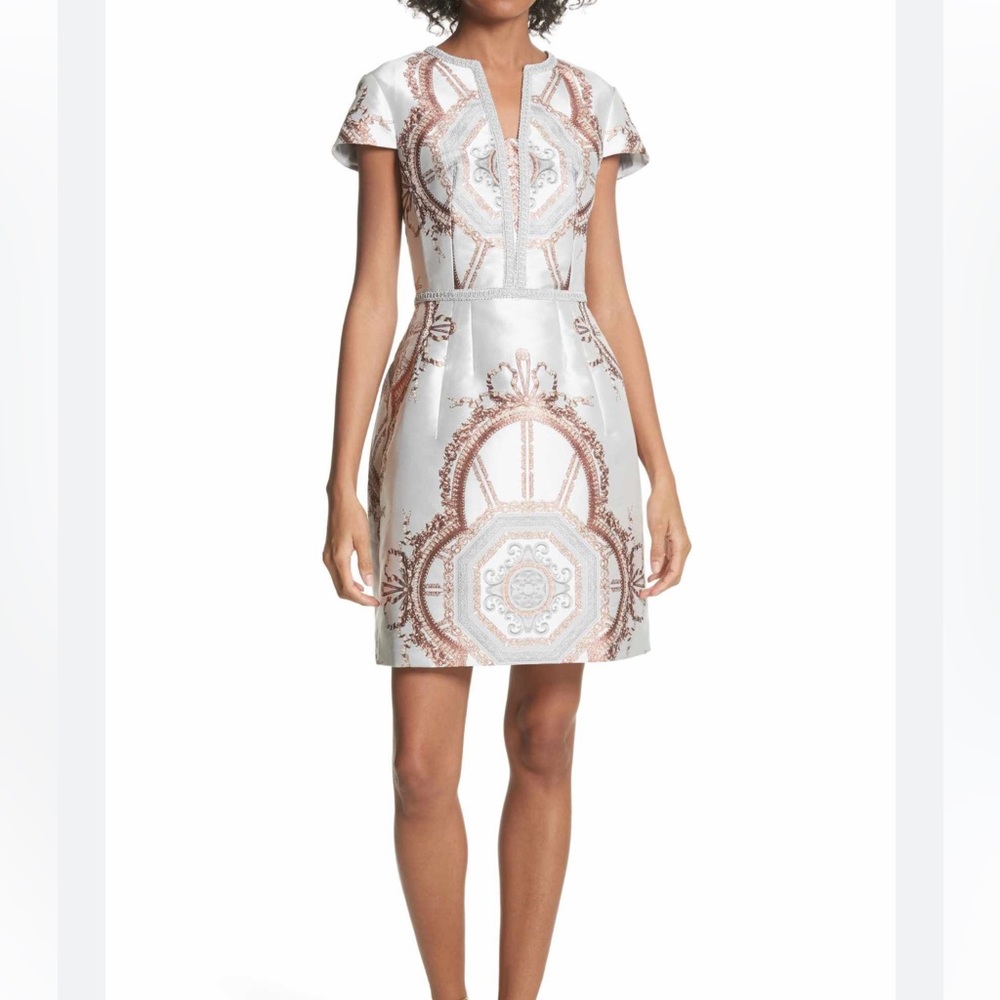 Ted Baker Versailles Paleat dress size 4(8/10)